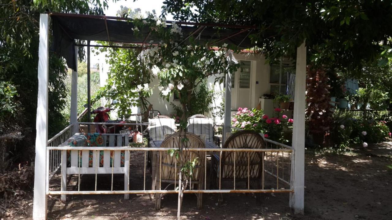 阿尔法公寓酒店 博德鲁姆 外观 照片
