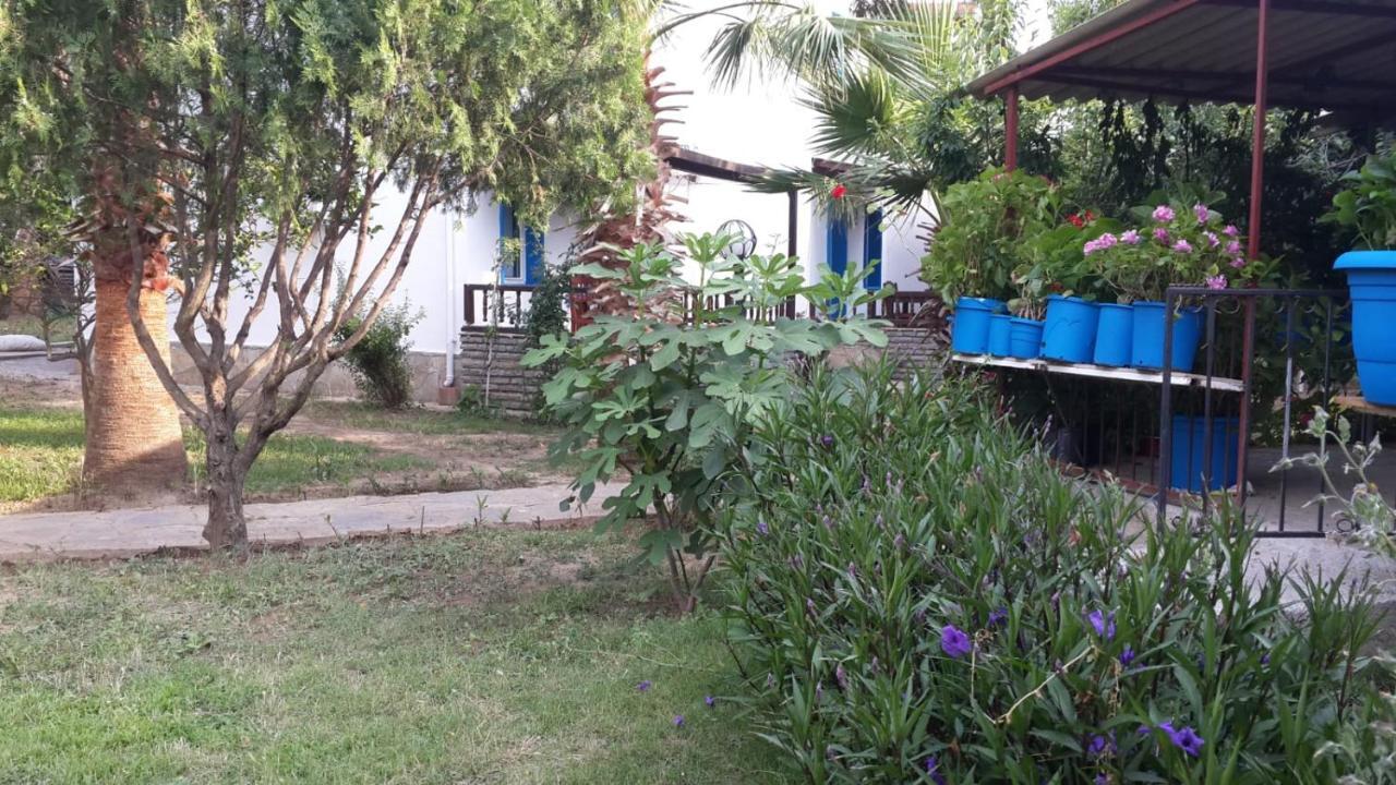 阿尔法公寓酒店 博德鲁姆 外观 照片